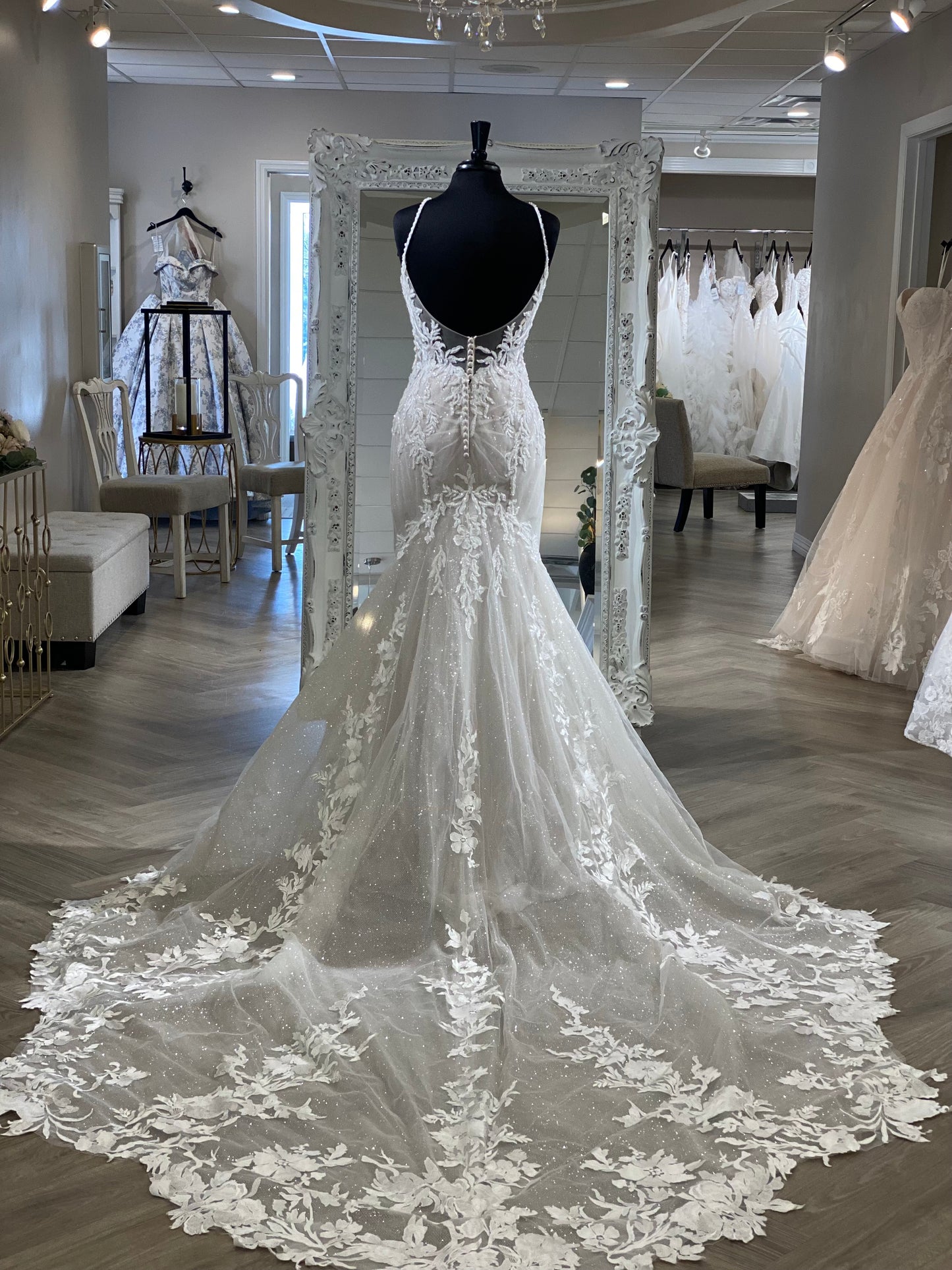 ST632 Christina Sophia Tolli Premiere Wedding Gown