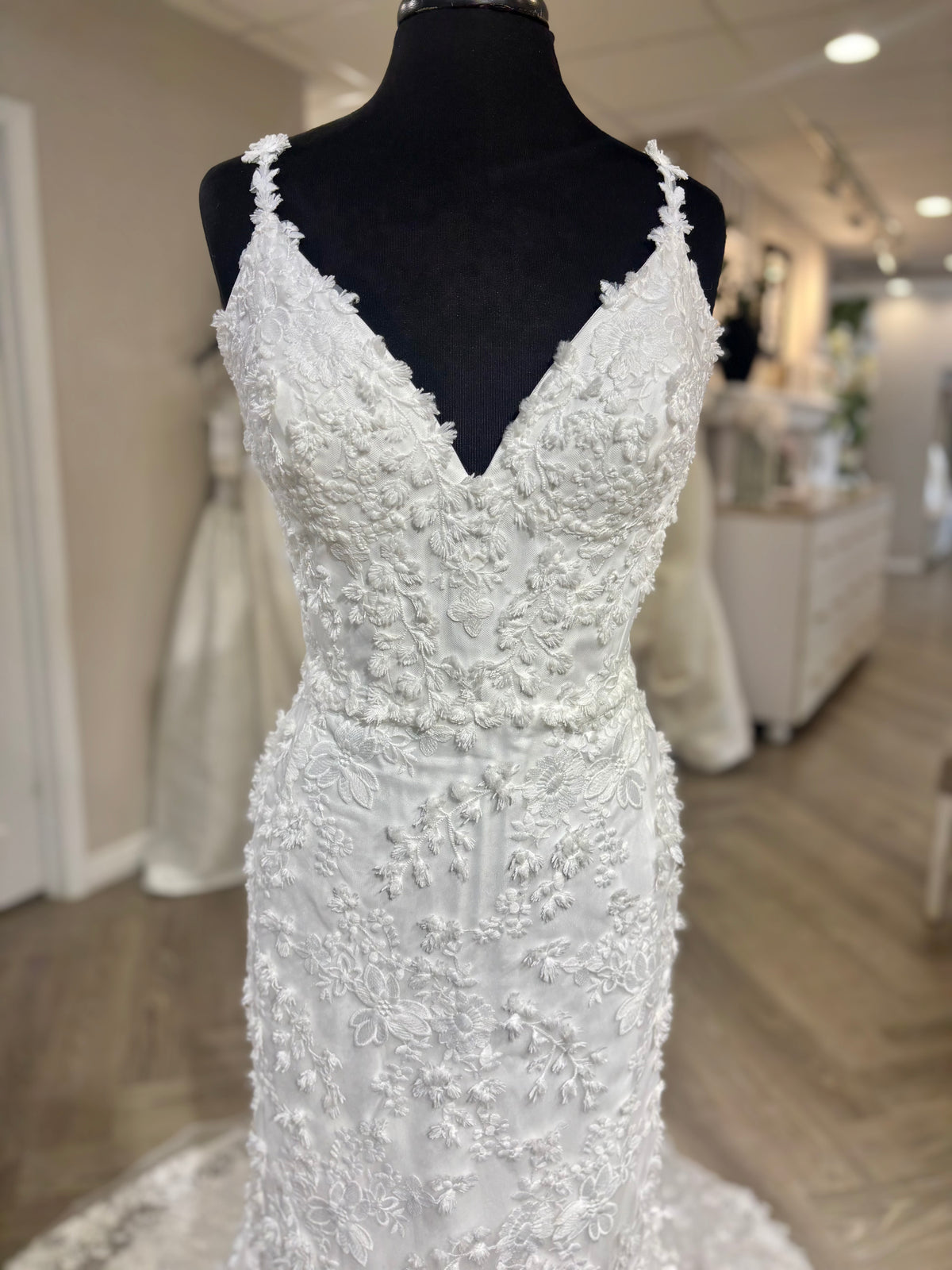 Maggie Sottero Ladonna Lane Wedding Gown